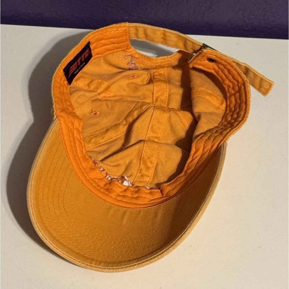 Lake Street Dive Obviously Tour Promo Hat Cap Snap Back Extremely Rare